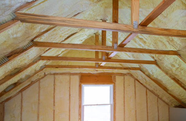 Best Insulation Removal  in Shenandoah Farms, VA