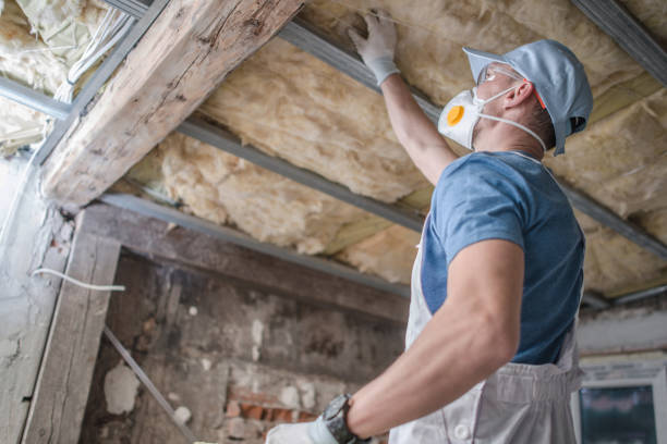 Best Insulation Contractor Near Me  in Shenandoah Farms, VA