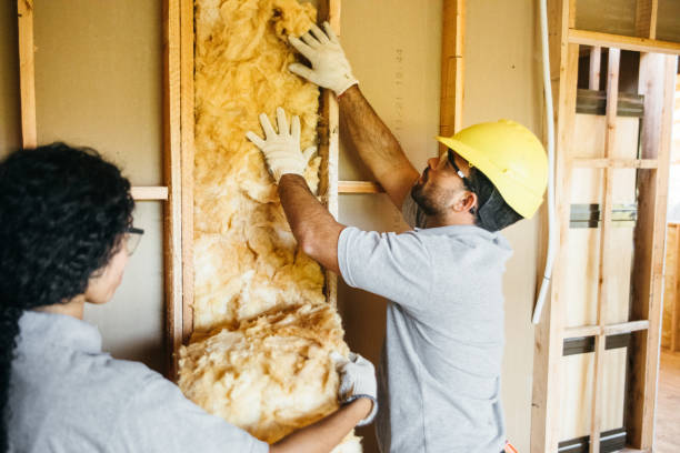 Best Crawl Space Insulation  in Shenandoah Farms, VA