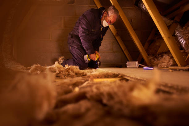 Best Insulation Contractors for Homes  in Shenandoah Farms, VA